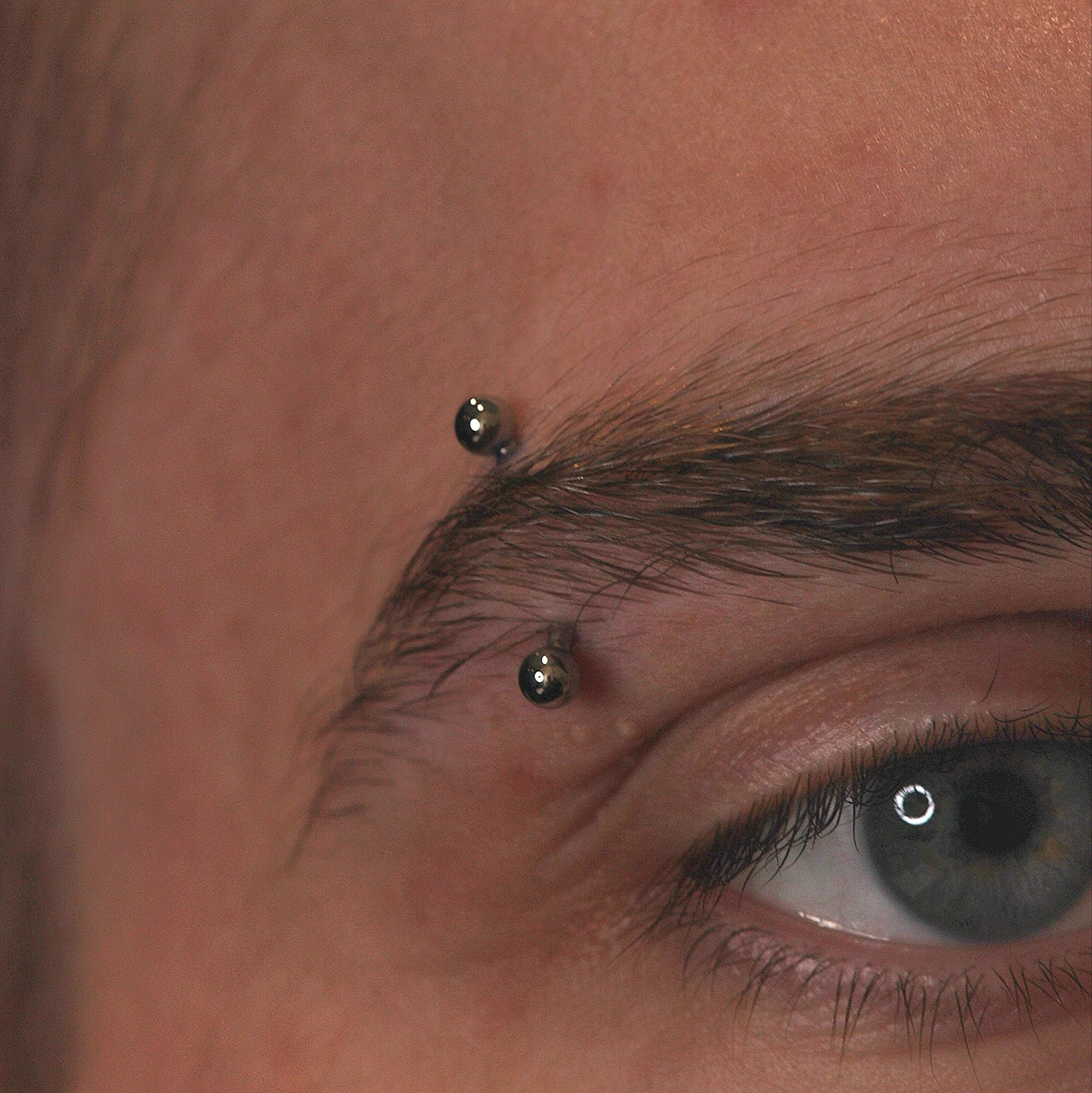 Maluna - Piercing and Fine Jewelry - Augenbrauenpiercing